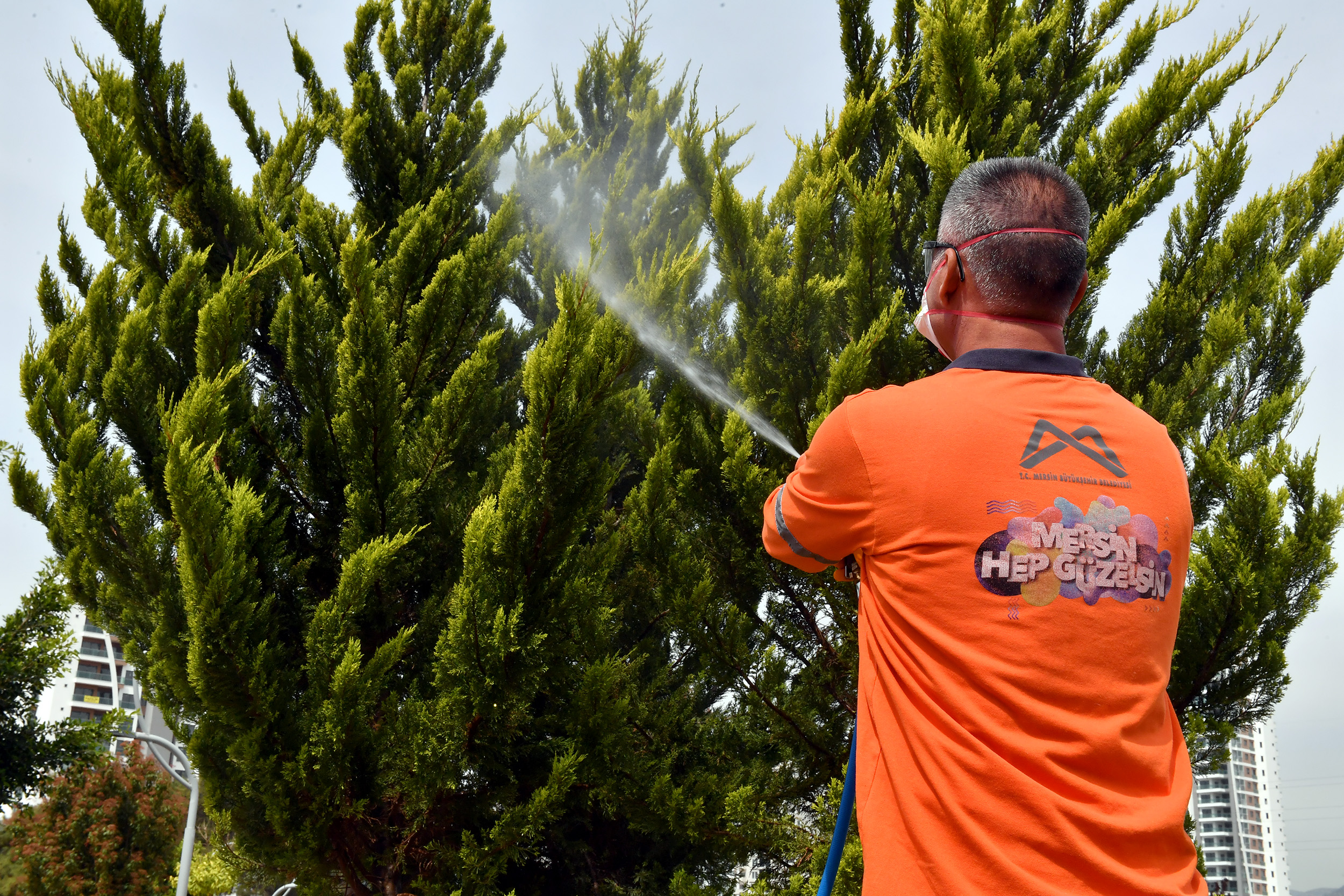 Büyükşehir, Sıcakla Birlikte İlaçlama Çalışmalarını da Artırdı