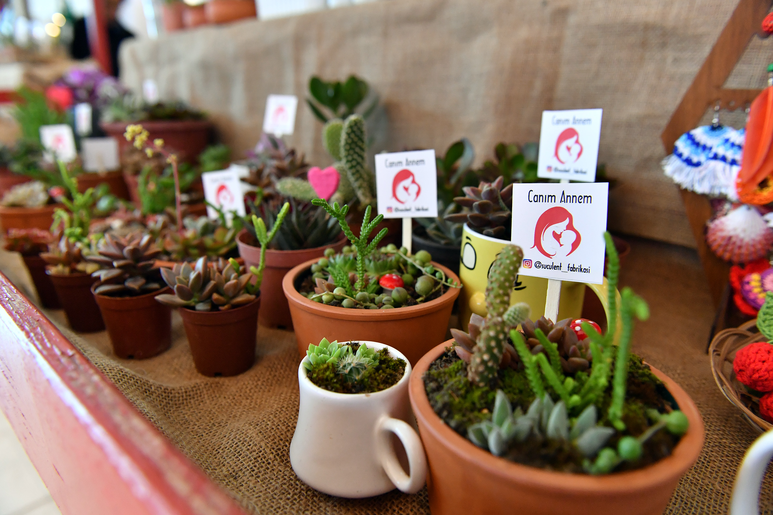 Çiçek Pazarı’nın Çiçekleri Anneler İçin Yerini Aldı